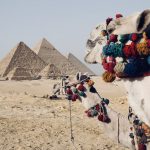 Outsourcing to Egypt